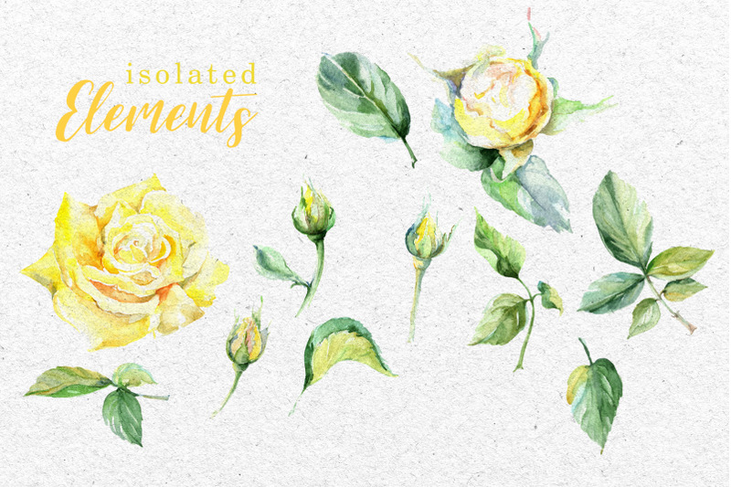 yellow-roses-watercolor-clipart-digital-flowers-clipart-hand-painted