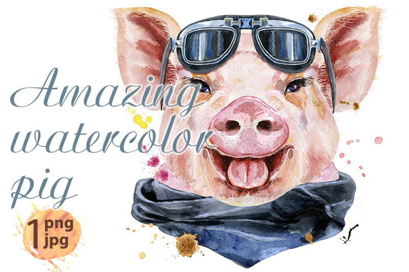watercolor-portrait-of-pig-with-biker-sunglasses