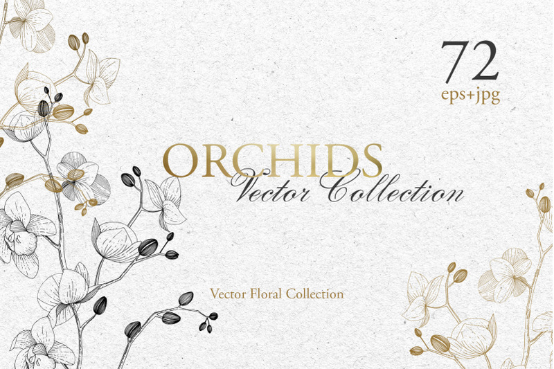 orchids-branch-watercolor-clipart-floral-painting-diy-elements-invi