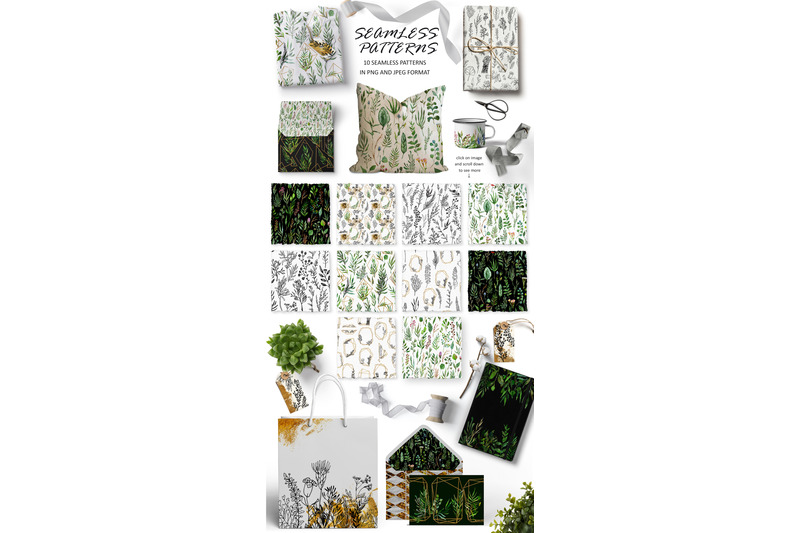 botanical-flowers-amp-frames-collection
