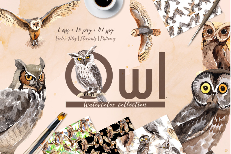 owl-watercolor-clipart-watercolor-set-hand-painted-birds-bird-clipa