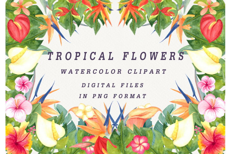 watercolor-clipart-tropical-flowers
