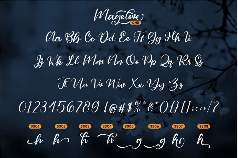 magelove-bonus-vector-quotes