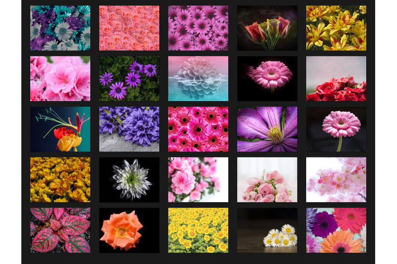 200-high-quality-flowers-digital-photoshop-overlays