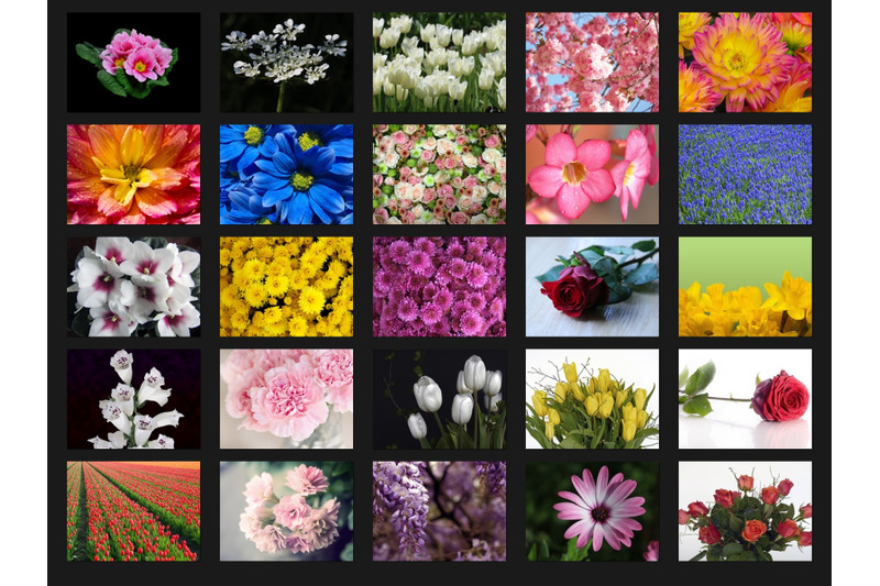 200-high-quality-flowers-digital-photoshop-overlays