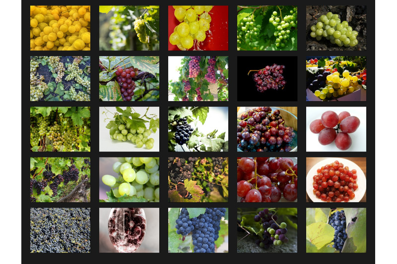 200-high-quality-grapes-nature-fruit-digital-photoshop-overlays