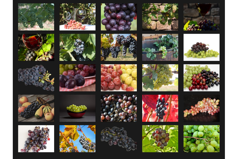 200-high-quality-grapes-nature-fruit-digital-photoshop-overlays