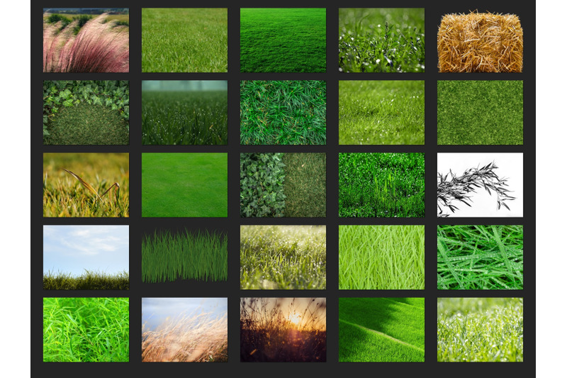 200-high-quality-grass-nature-digital-photoshop-overlays