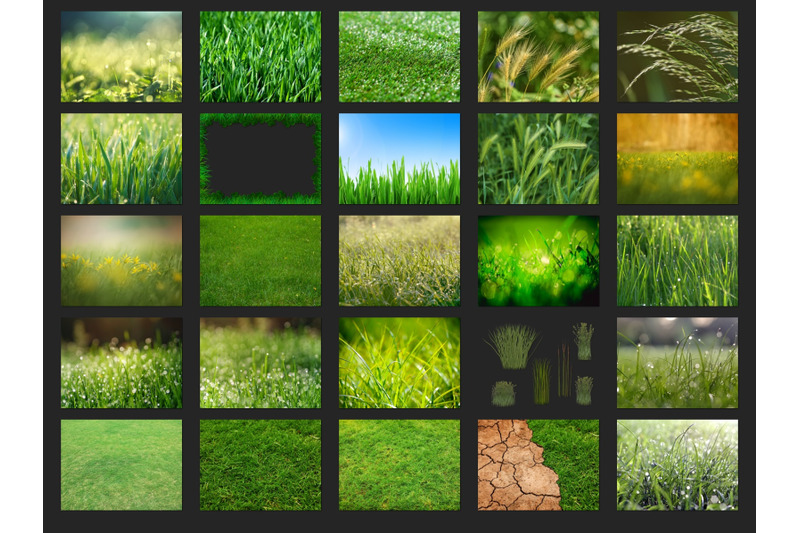 200-high-quality-grass-nature-digital-photoshop-overlays