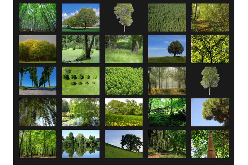 200-high-quality-green-trees-forest-digital-photoshop-overlays