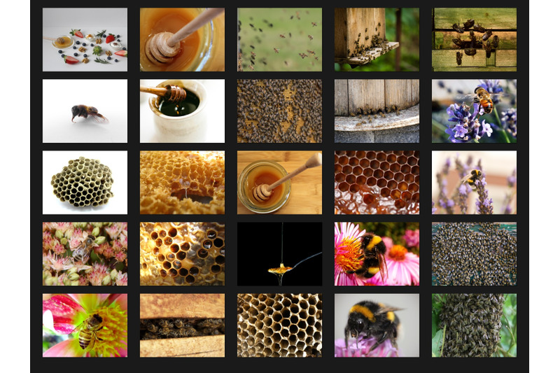 200-high-quality-honey-amp-bees-digital-photoshop-overlays