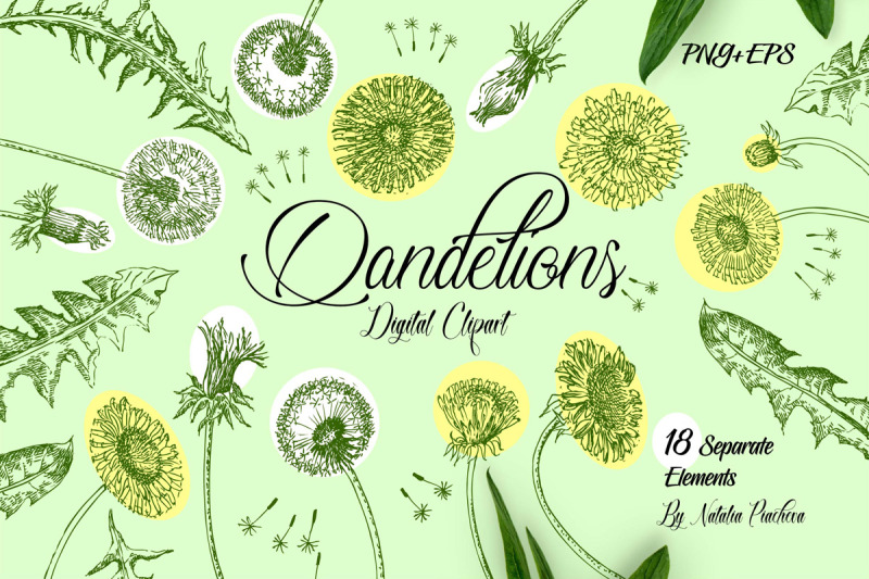 dandelions-digital-clipart
