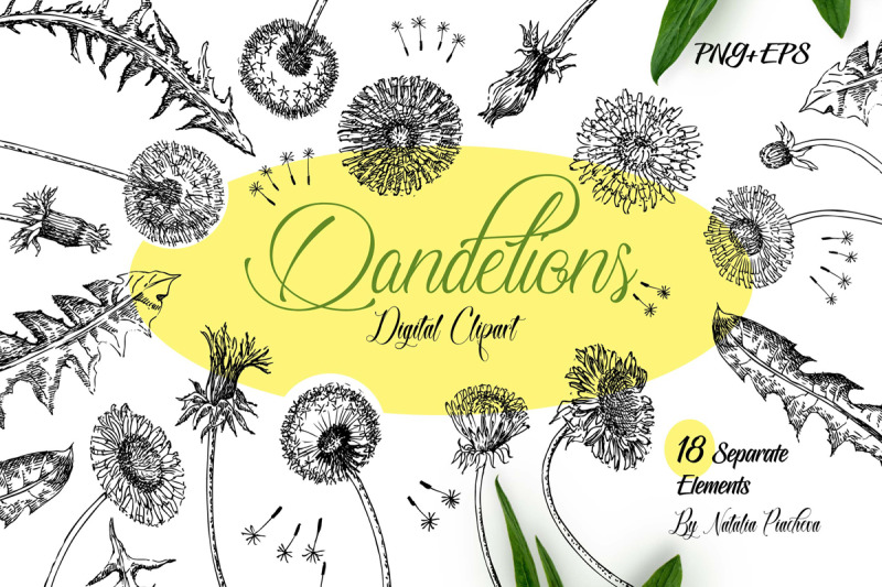 dandelions-sketches-clipart
