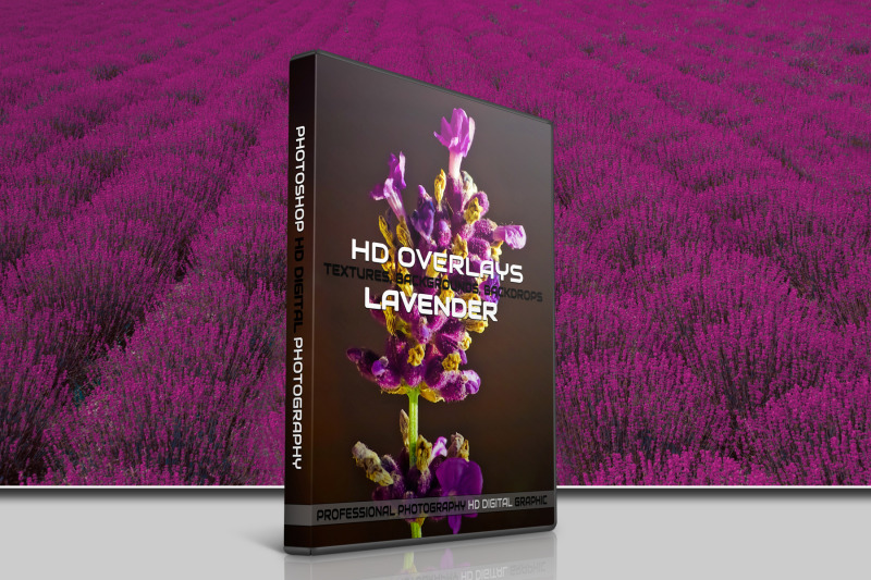 200-high-quality-lavender-digital-photoshop-overlays