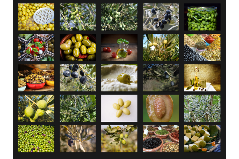 200-high-quality-olive-olive-oil-digital-photoshop-overlays