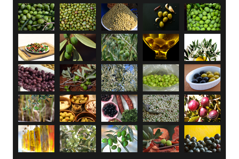 200-high-quality-olive-olive-oil-digital-photoshop-overlays