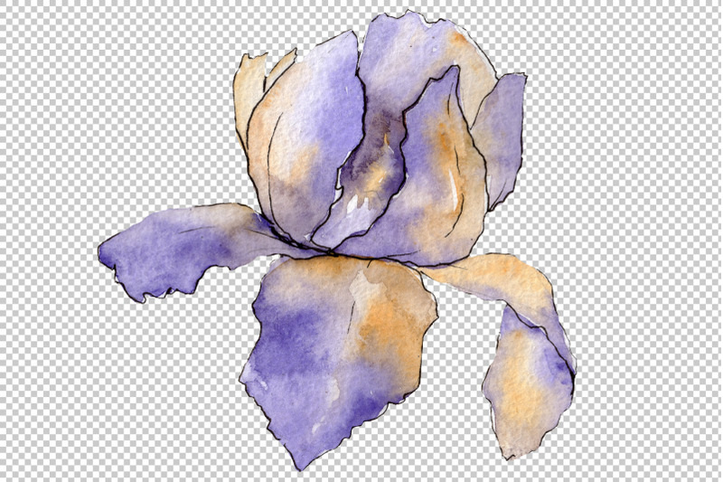 eurobuket-irises-blue-watercolor-png