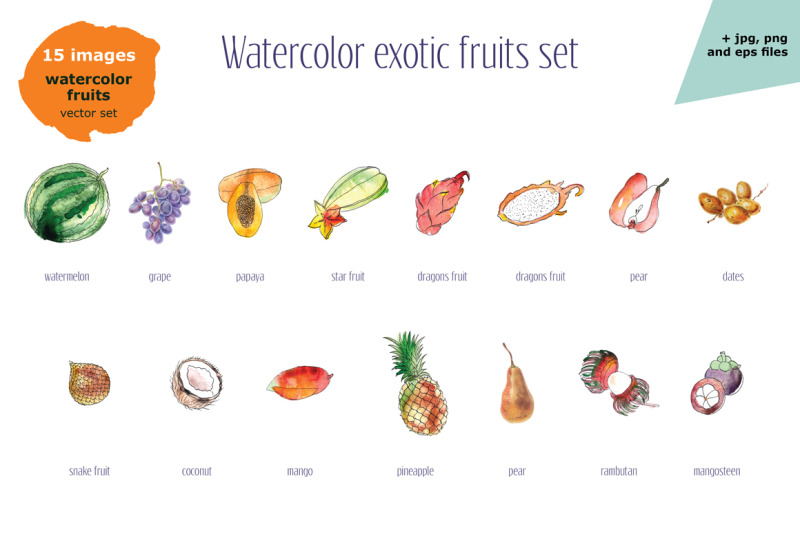 watercolor-exotic-fruits