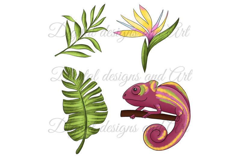 chameleon-clipart