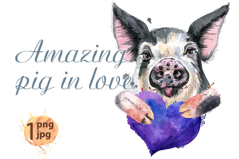 watercolor-portrait-of-pig-with-violet-heart