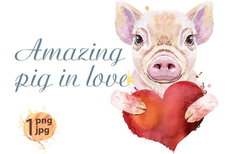 watercolor-portrait-of-mini-pig-with-red-heart