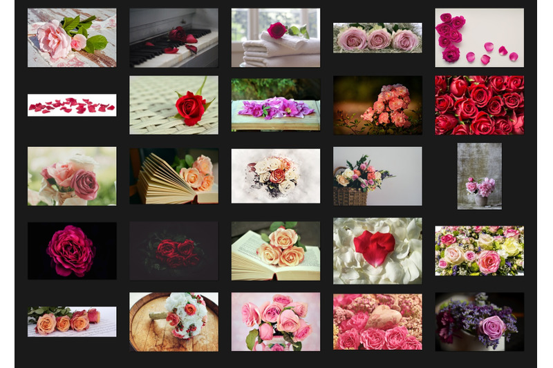 200-high-quality-roses-flower-digital-photoshop-overlays