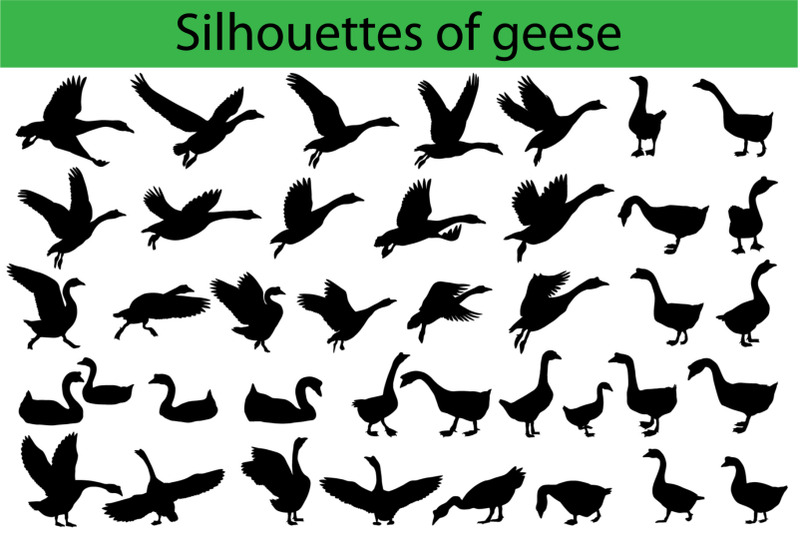 silhouettes-of-geese
