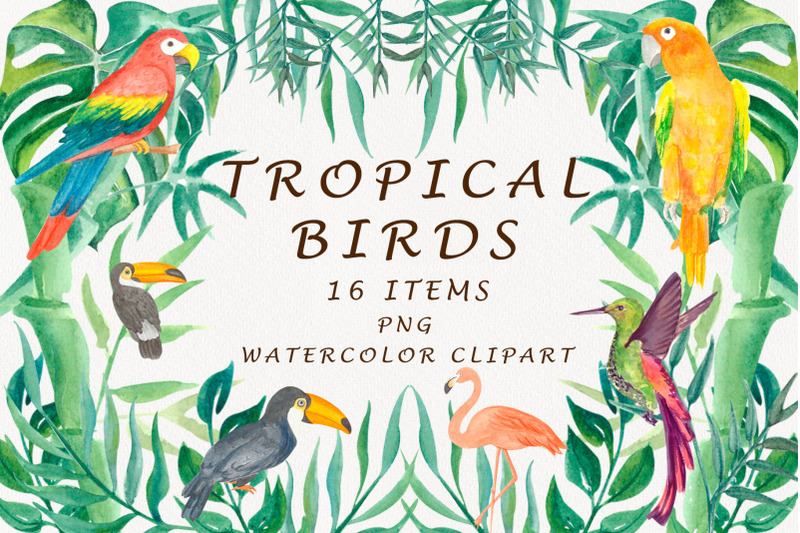 tropical-birds-watercolor