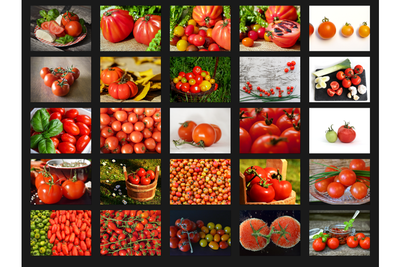 200-high-quality-tomatoes-vegetables-digital-photoshop-overlays