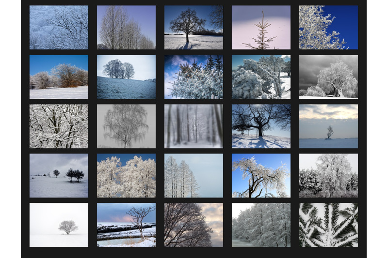 200-high-quality-winter-snow-trees-digital-photoshop-overlays