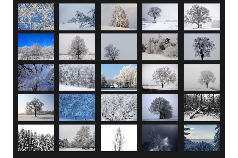 200-high-quality-winter-snow-trees-digital-photoshop-overlays
