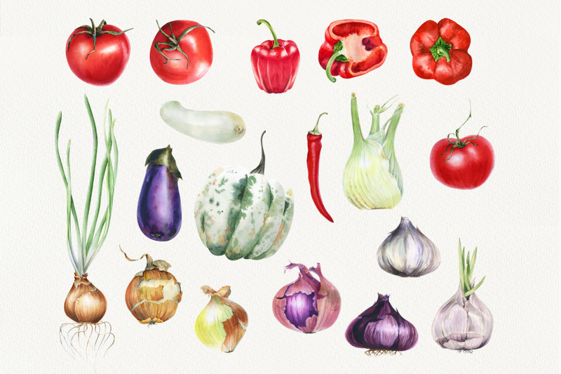 watercolor-spices-and-vegetables-set