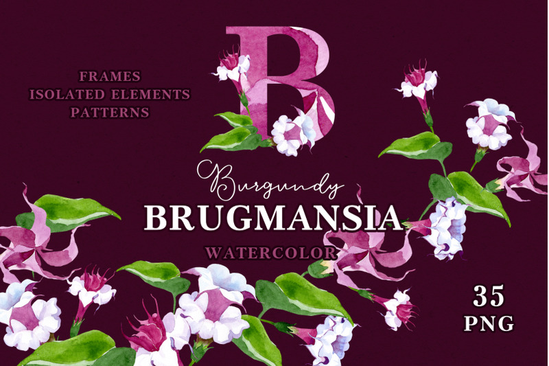 burgundy-brugmansia-watercolor-png