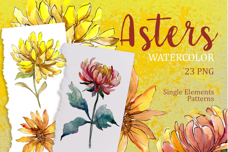 yellow-watercolor-asters-png-set