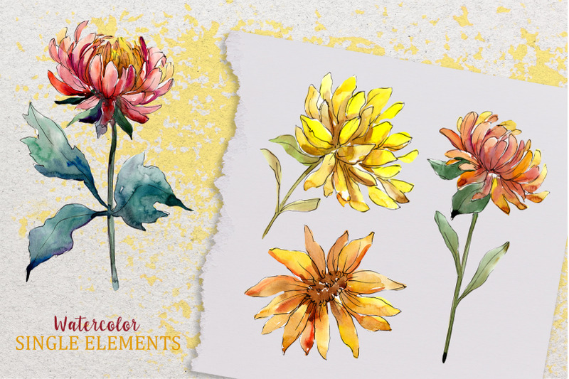 yellow-watercolor-asters-png-set