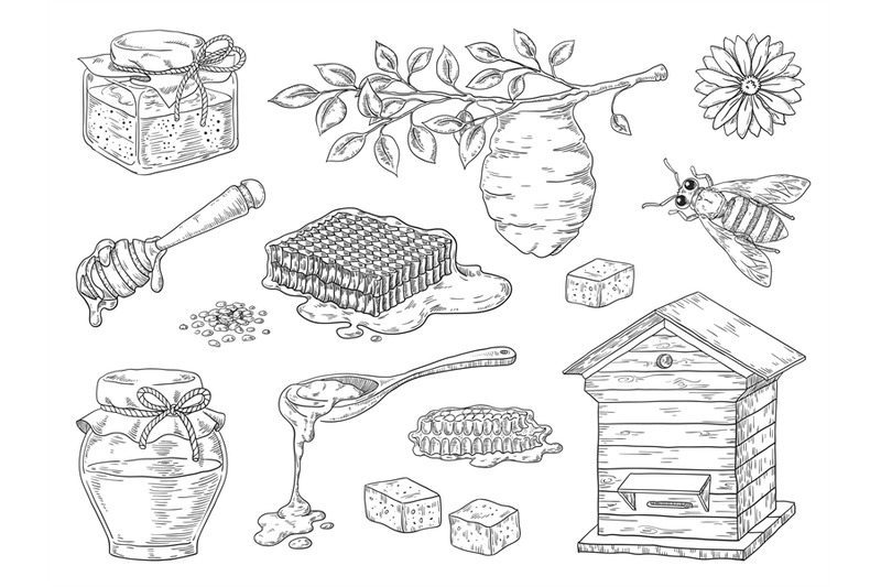 hand-drawn-honey-vintage-bee-honeycomb-and-honey-jar-sketch-elements