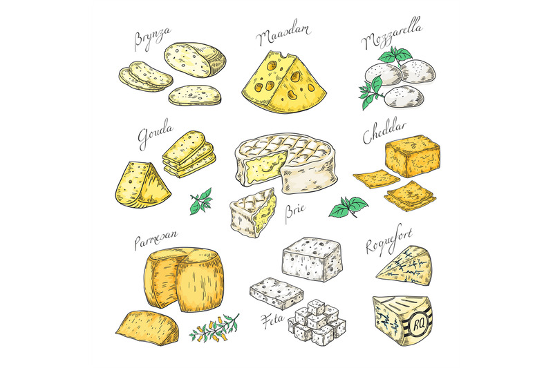 hand-drawn-cheese-doodle-appetizers-and-food-slices-different-cheese