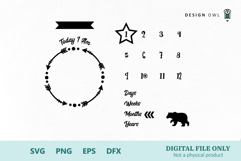 Download Baby Bear Milestone Blanket - SVG cut file By Design Owl ...