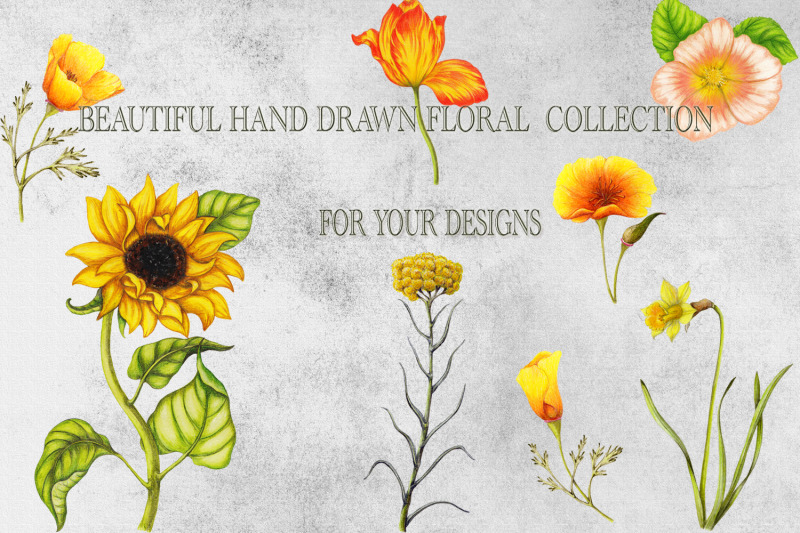 hand-drawn-garden-flowers-set-bonus