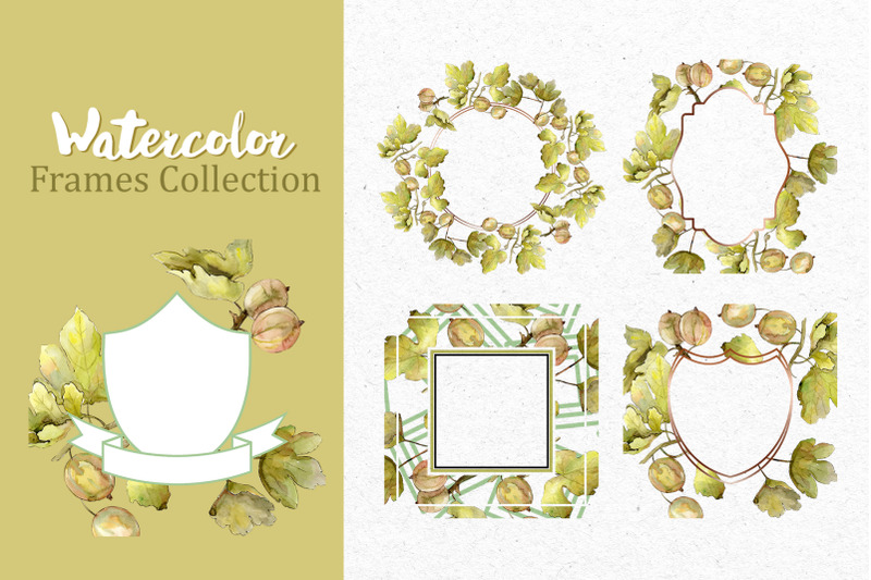 watercolor-gooseberry-png-collection