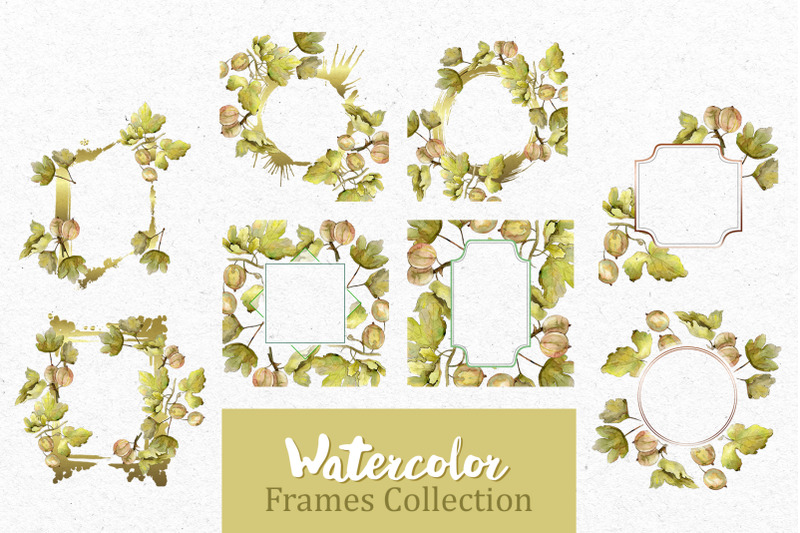 watercolor-gooseberry-png-collection