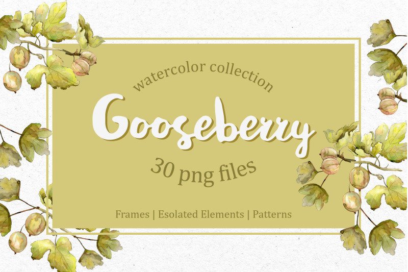 watercolor-gooseberry-png-collection