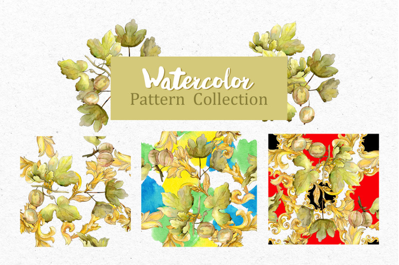 watercolor-gooseberry-png-collection