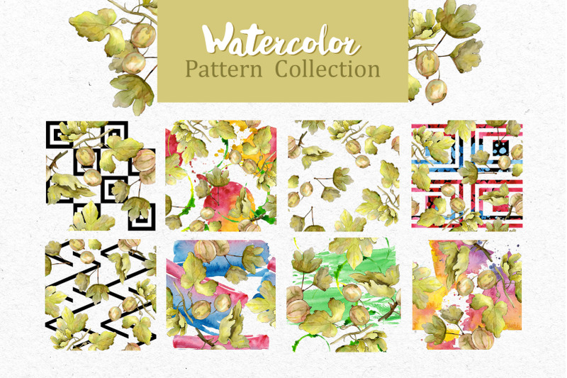 watercolor-gooseberry-png-collection