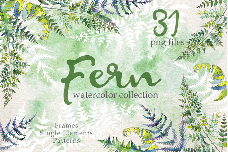 fern-watercolor-png