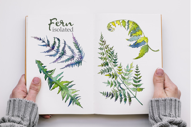 fern-watercolor-png
