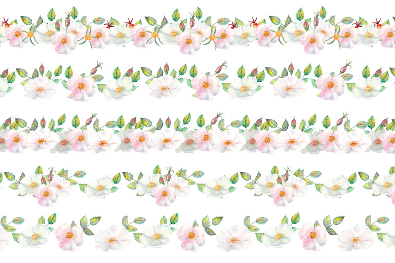 the-flowers-and-leaves-of-wild-rose-repetition-of-horizontal-border