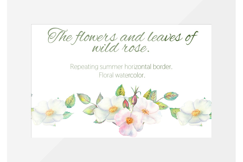 the-flowers-and-leaves-of-wild-rose-repetition-of-horizontal-border