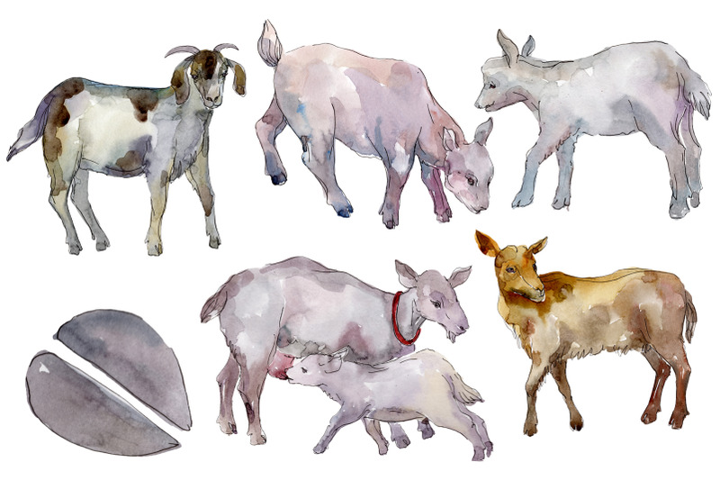 farm-animals-goat-watercolor-png