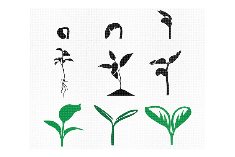 young-blooming-plant-svg-cut-files-dxf-vector-eps-cutting-file
